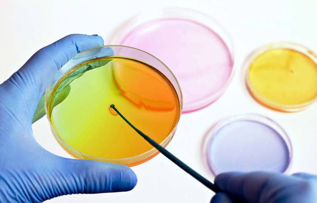 Laboratorio Pomezia e Roma